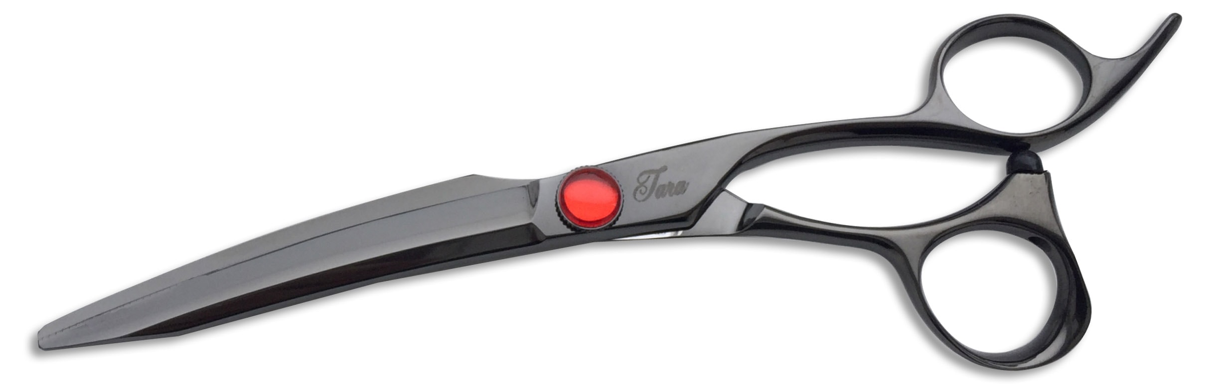 Tara XPB Black Titanium Scissors